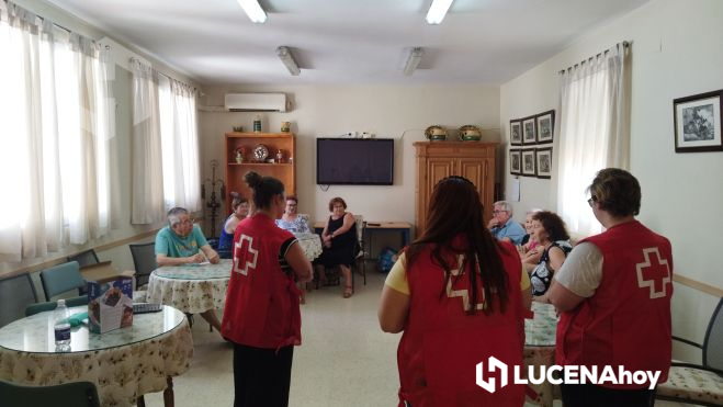 Una de las actividades desarrolladas por Cruz Roja Lucena durante este año