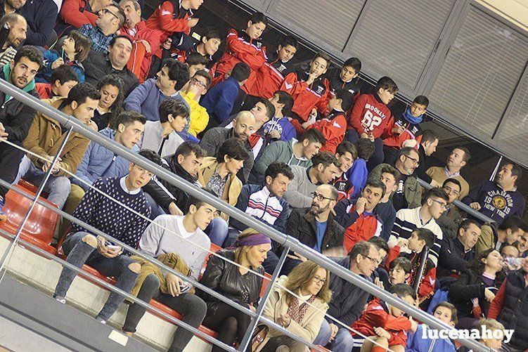 Galería gráfica: El Lucena Futsal roza la proeza ante un Mengíbar intratable (1-2) Galería gráfica: El Lucena Futsal roza la proeza ante un Mengíbar intratable (1-2)