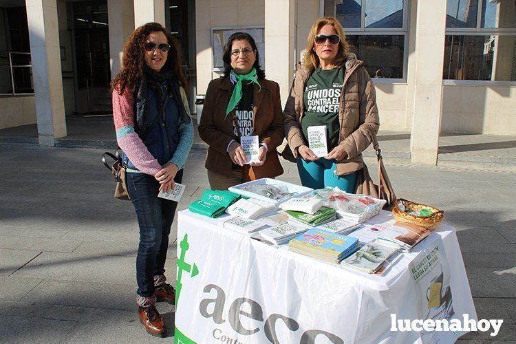  Mesa informativa de la AECC en la Plaza Nueva 