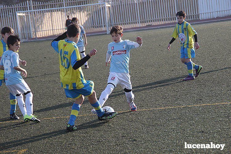 Galería: Equipo alevín Fundación Lucena CF