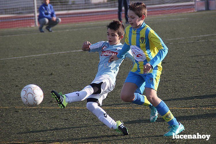 Galería: Equipo alevín Fundación Lucena CF