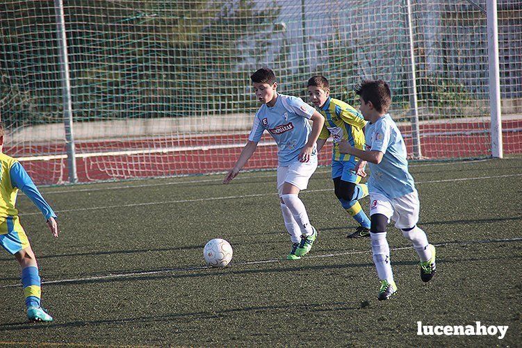 Galería: Equipo alevín Fundación Lucena CF