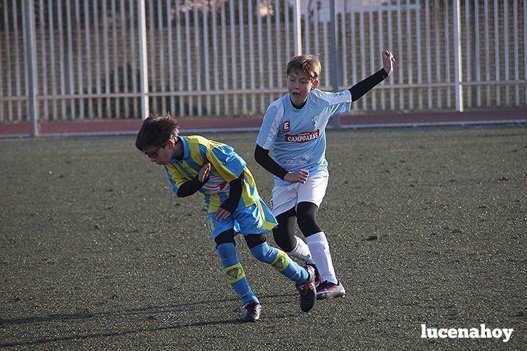 Galería: Equipo alevín Fundación Lucena CF