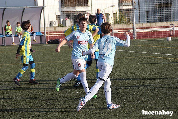 Galería: Equipo alevín Fundación Lucena CF