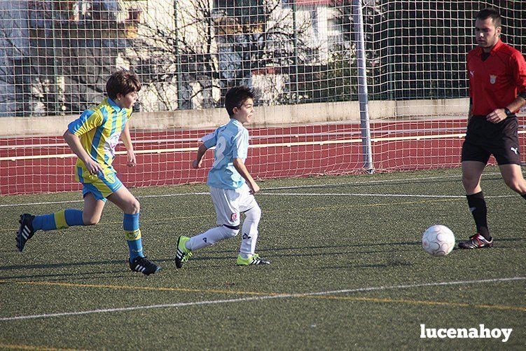 Galería: Equipo alevín Fundación Lucena CF