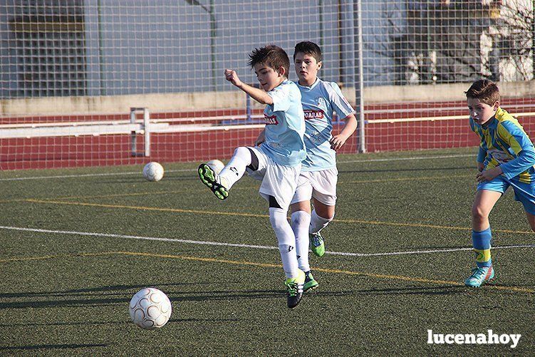 Galería: Equipo alevín Fundación Lucena CF