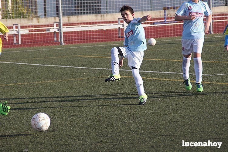 Galería: Equipo alevín Fundación Lucena CF