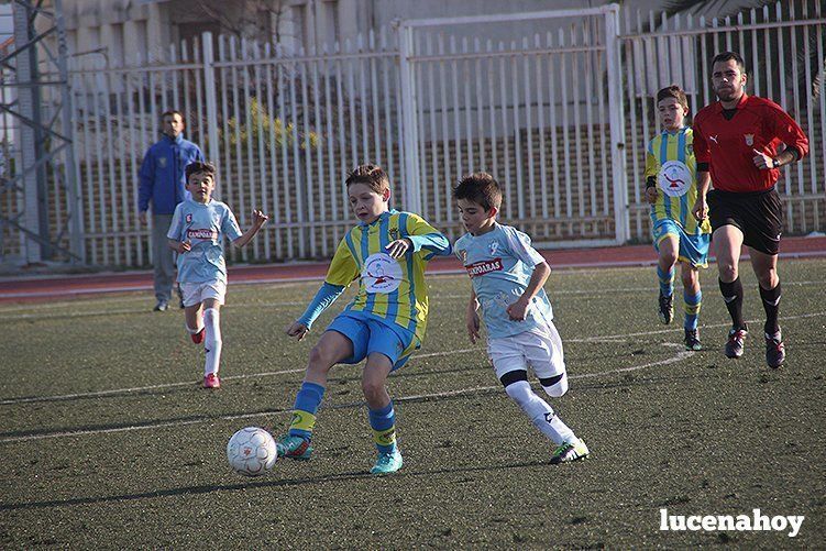 Galería: Equipo alevín Fundación Lucena CF