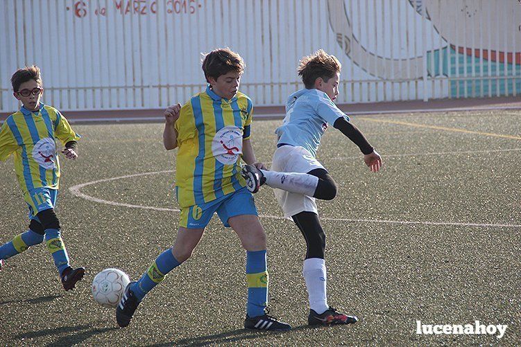 Galería: Equipo alevín Fundación Lucena CF