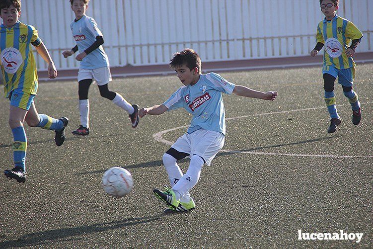 Galería: Equipo alevín Fundación Lucena CF