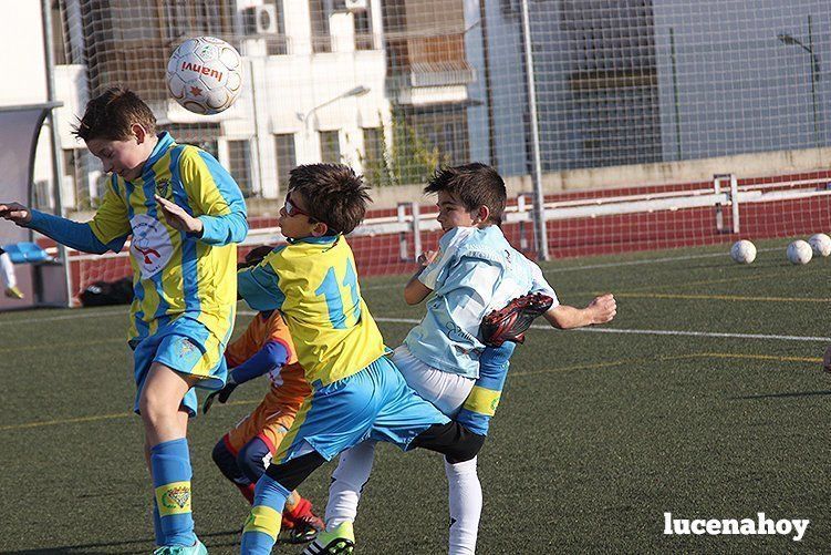 Galería: Equipo alevín Fundación Lucena CF