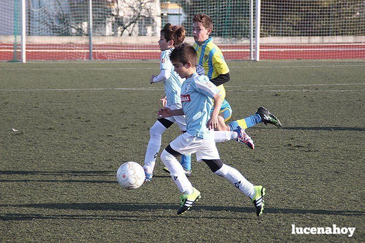 Galería: Equipo alevín Fundación Lucena CF