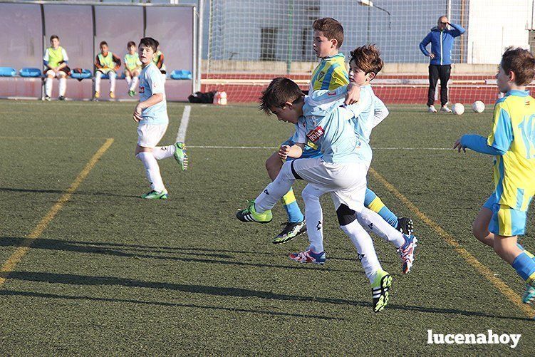 Galería: Equipo alevín Fundación Lucena CF