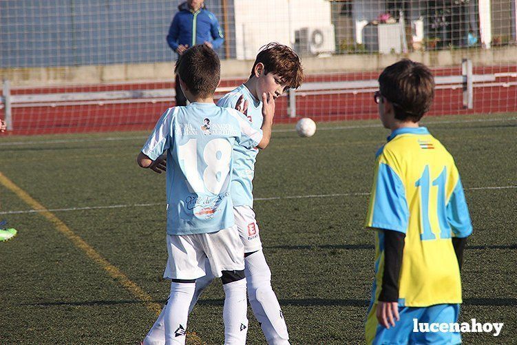 Galería: Equipo alevín Fundación Lucena CF