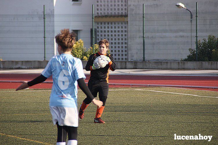 Galería: Equipo alevín Fundación Lucena CF