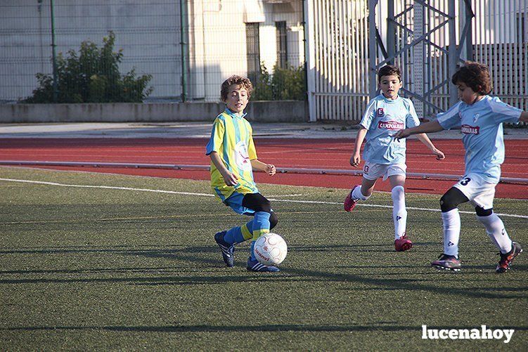 Galería: Equipo alevín Fundación Lucena CF