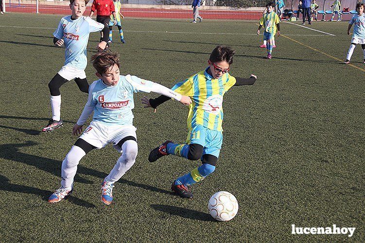 Galería: Equipo alevín Fundación Lucena CF