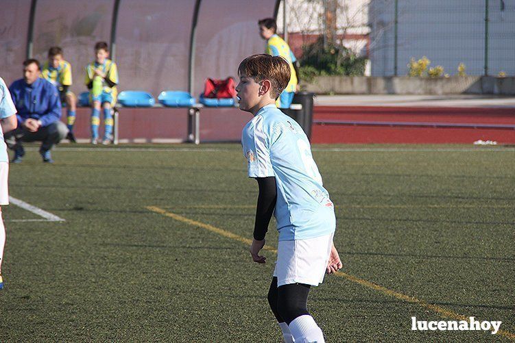 Galería: Equipo alevín Fundación Lucena CF