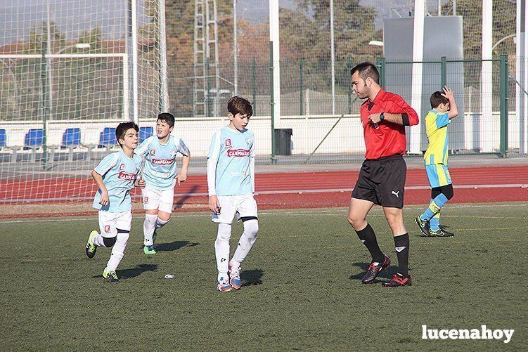 Galería: Equipo alevín Fundación Lucena CF