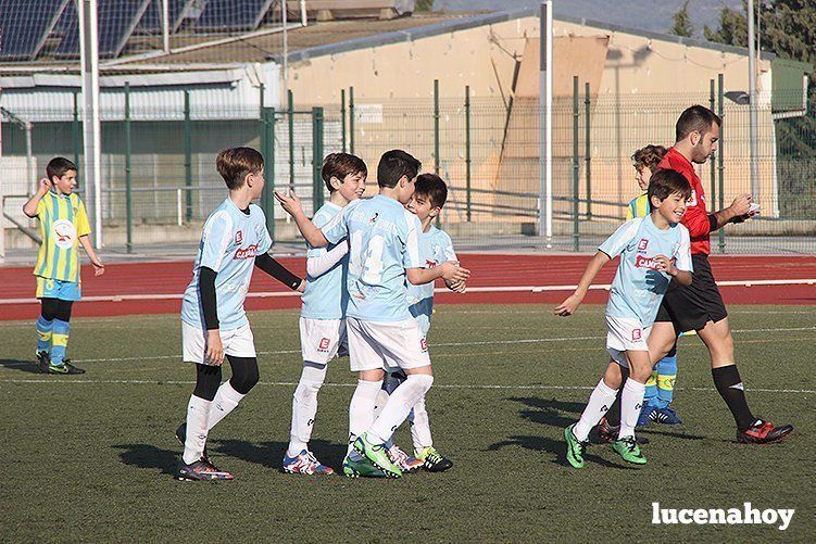 Galería: Equipo alevín Fundación Lucena CF