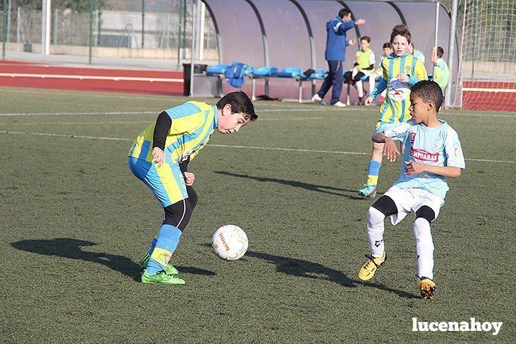 Galería: Equipo alevín Fundación Lucena CF