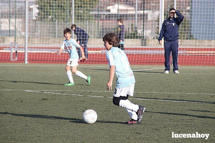 Galería: Equipo alevín Fundación Lucena CF