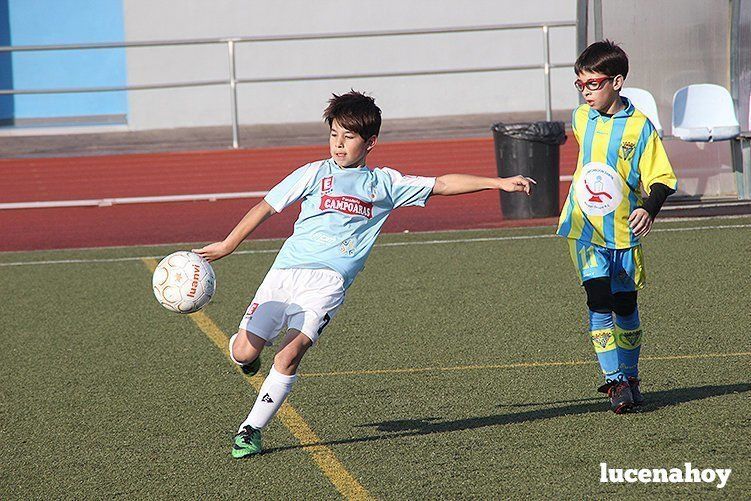 Galería: Equipo alevín Fundación Lucena CF