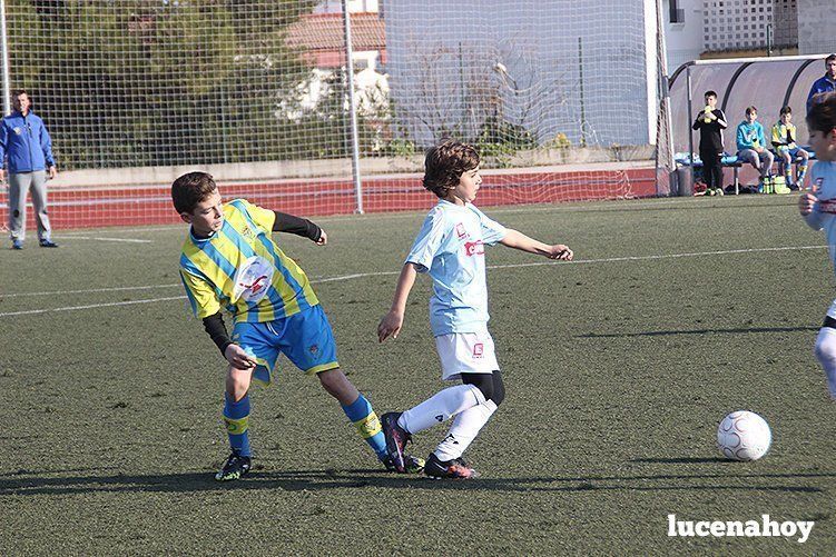 Galería: Equipo alevín Fundación Lucena CF