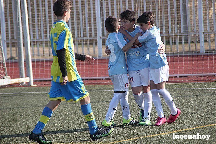 Galería: Equipo alevín Fundación Lucena CF