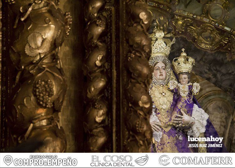 Galería: Gran participación de los manijeros de la Semana Santa en la Misa del Santero, celebrada en el Santuario de Aras Galería: Gran participación de los manijeros de la Semana Santa en la Misa del Santero, celebrada en el Santuario de Aras