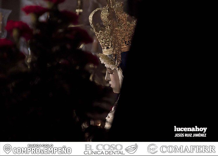 Galería: Besamanos de la Virgen de la Pasión Galería: Besamanos de la Virgen de la Pasión
