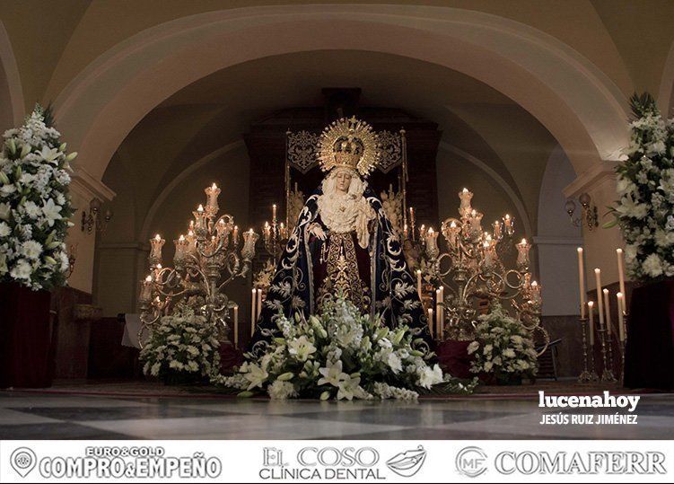 Galería: Besamanos de la Virgen de la Pasión Galería: Besamanos de la Virgen de la Pasión