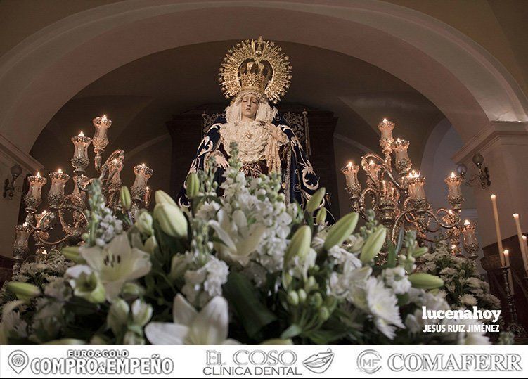 Galería: Besamanos de la Virgen de la Pasión Galería: Besamanos de la Virgen de la Pasión