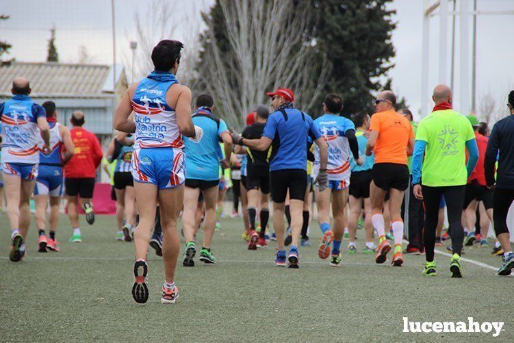 Galeria I: Media Maratón "Ciudad de Lucena"