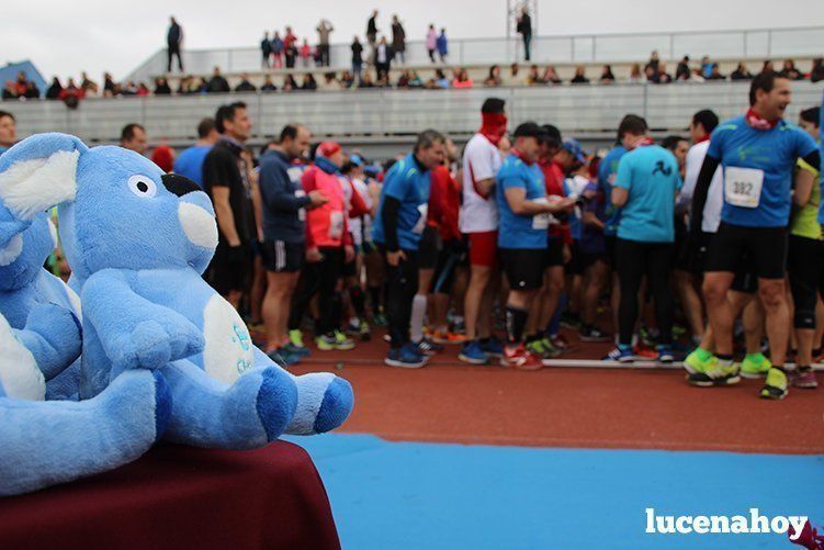 Galeria I: Media Maratón "Ciudad de Lucena"