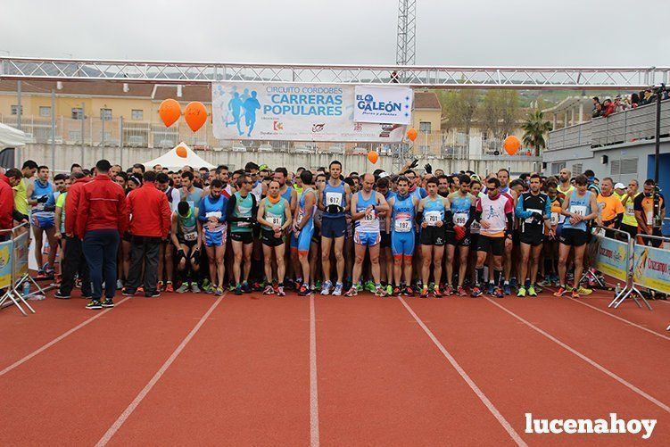 Galeria I: Media Maratón "Ciudad de Lucena"