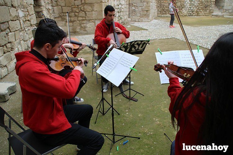 Galeria I: Media Maratón "Ciudad de Lucena"