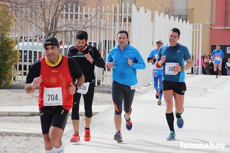 Galeria I: Media Maratón "Ciudad de Lucena"