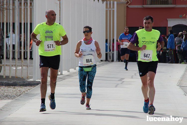 Galeria I: Media Maratón "Ciudad de Lucena"