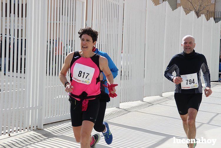Galeria I: Media Maratón "Ciudad de Lucena" Galeria I: Media Maratón "Ciudad de Lucena"