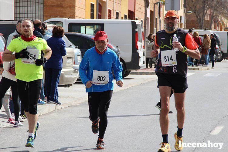 Galeria I: Media Maratón "Ciudad de Lucena"