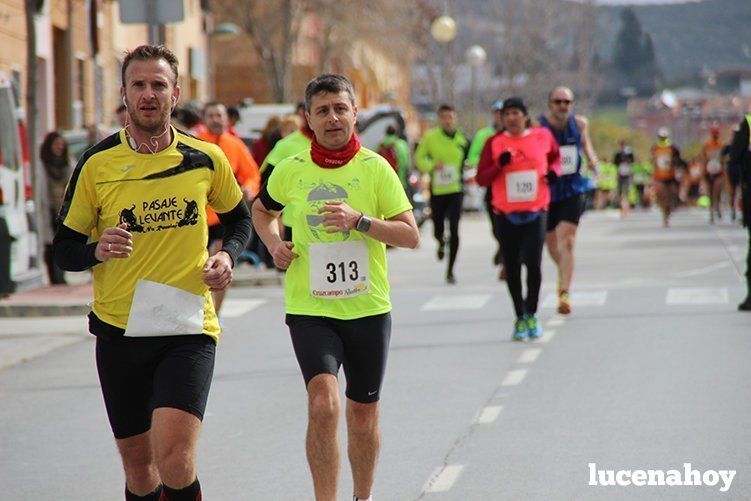 Galeria I: Media Maratón "Ciudad de Lucena"