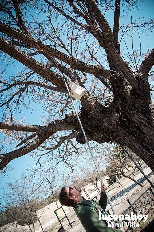 Galería: Haciendo cajas-nido en la estación para celebrar el Día del Árbol. Aún hay más actividades. Te lo contamos aquí.