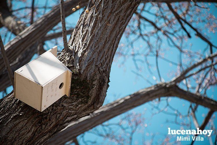 Galería: Haciendo cajas-nido en la estación para celebrar el Día del Árbol. Aún hay más actividades. Te lo contamos aquí.