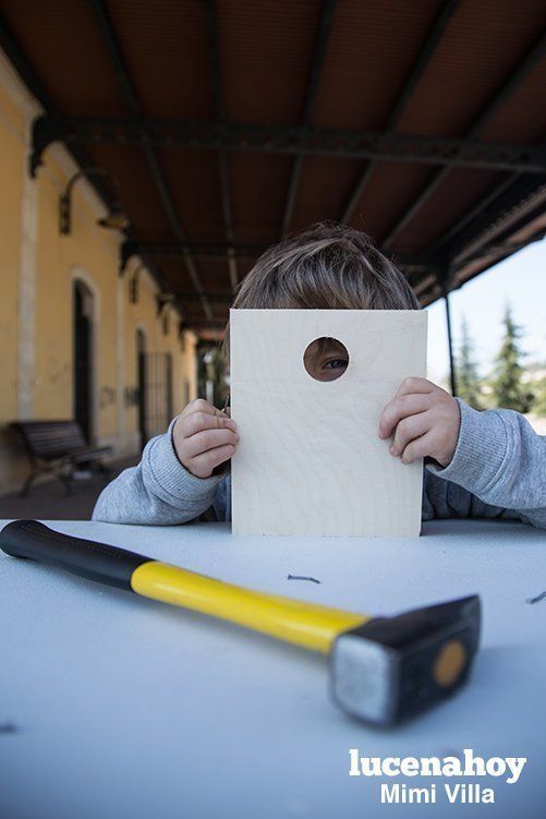 Galería: Haciendo cajas-nido en la estación para celebrar el Día del Árbol. Aún hay más actividades. Te lo contamos aquí.