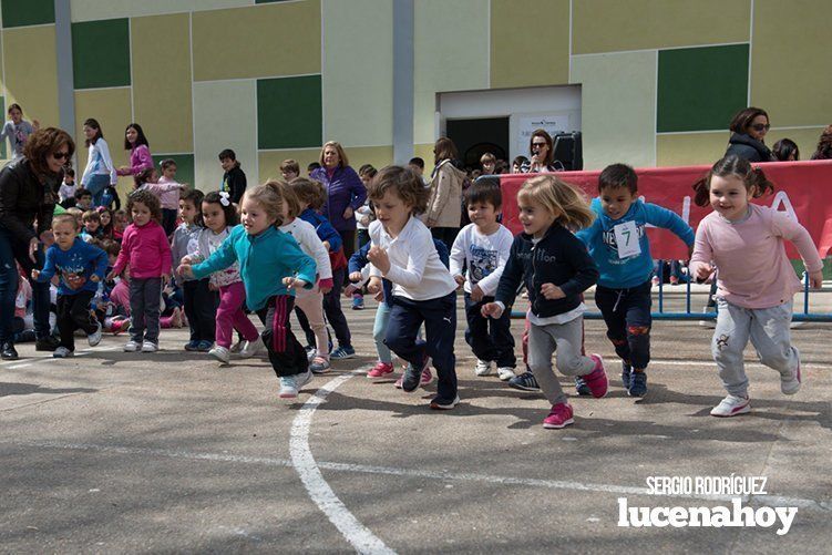 Galería: Los niños y profesores del Colegio Virgen de Araceli corren para Manos Unidas Galería: Los niños y profesores del Colegio Virgen de Araceli corren para Manos Unidas