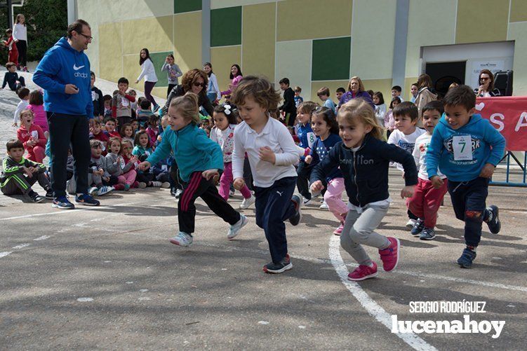 Galería: Los niños y profesores del Colegio Virgen de Araceli corren para Manos Unidas Galería: Los niños y profesores del Colegio Virgen de Araceli corren para Manos Unidas