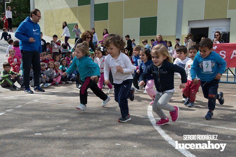 Galería: Los niños y profesores del Colegio Virgen de Araceli corren para Manos Unidas