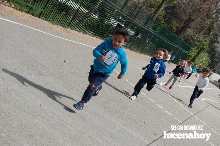 Galería: Los niños y profesores del Colegio Virgen de Araceli corren para Manos Unidas