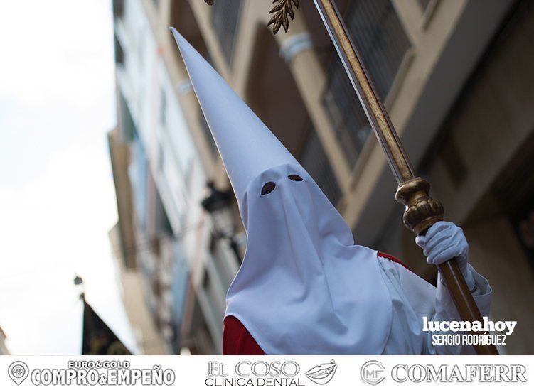 Galería: La Pollinita abre los desfiles procesionales de la Semana Santa de Lucena